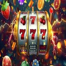pelamis 77 App pelamis 77 App
